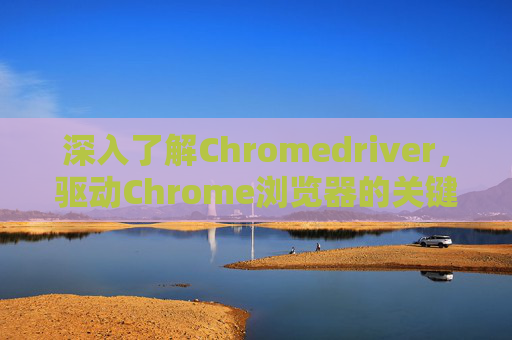 深入了解Chromedriver，驱动Chrome浏览器的关键工具