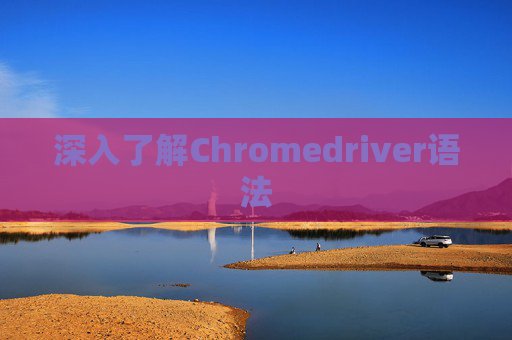 深入了解Chromedriver语法