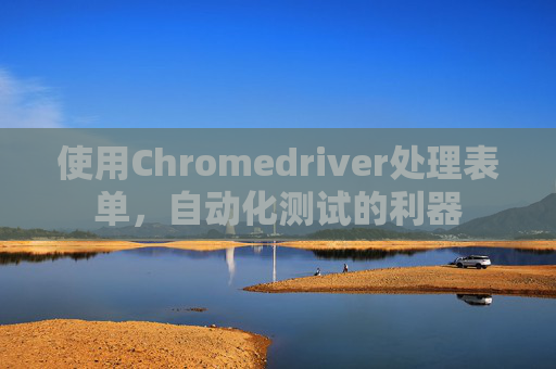 使用Chromedriver处理表单，自动化测试的利器